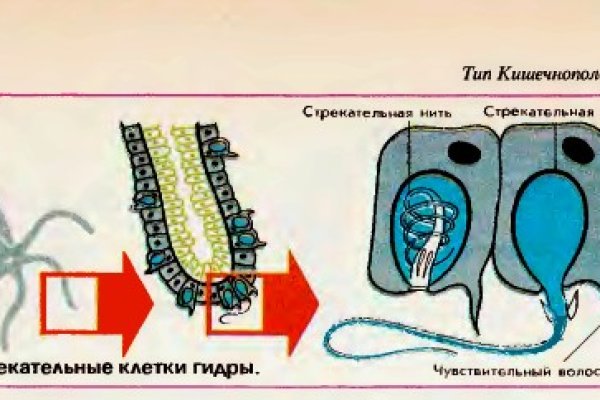 Что за площадка кракен