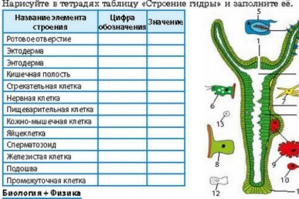 Как зайти на кракен дарк